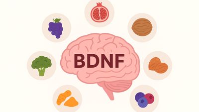 Başarıyı arttıran protein: BDNF! Bakın hangi besinlerde var...