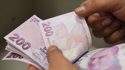 TMO, üreticilerin hesaplarına 3,6 milyar lira yatırdı