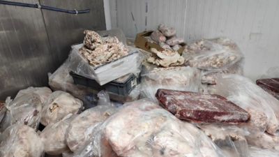 Ankara’da 3 işletmeye operasyon: 11 bin 250 kilo kaçak et ve tavuk ele geçirildi