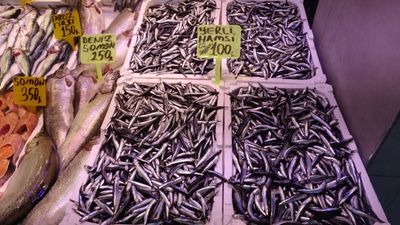 Karadeniz'de av hızlı başladı: Hamsi fiyatı 100 TL'ye düştü