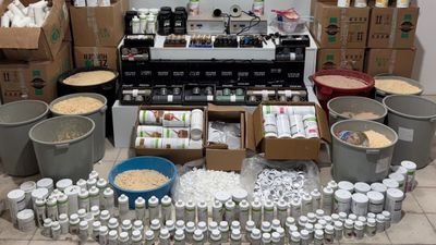 Samsun'da sahte zayıflama ve protein tozu imalatına operasyon