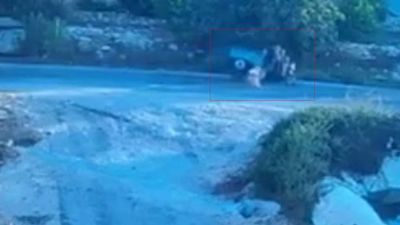 Mersin'de köpeğin saldırdığı motosiklet devrildi