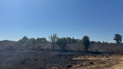 Bilecik'te korkutan anız yangını