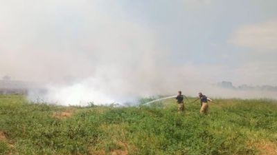 Balıkesir'de iki ilçe arasında sazlık alanda yangın çıktı