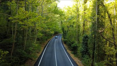 Doğanın içinde gizli yol: Safranbolu'nun ağaç tüneli