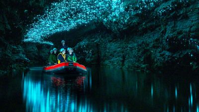 Ateş böceklerinin aydınlattığı konum: Waitomo Ateş Böceği Mağarası
