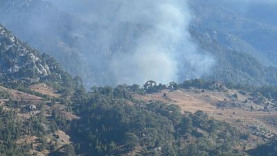 Muğla'daki orman yangını kontrol altına alındı