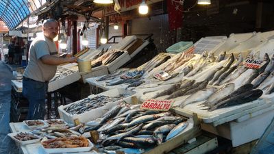 Akdeniz'de av yasağı kalktı, tezgahlar bollaştı