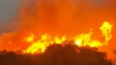 Balıkesir'de orman yangını çıktı