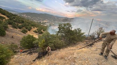 Bingöl'de korkutan yangın: Kontrol altında