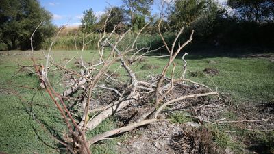 Edirne'deki Musabeyli Göleti tamamen kurudu