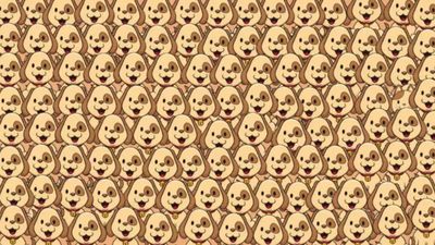 Köpeklerin arasındaki kediyi 6 saniyede görenler üstün zekalı sayılıyor! Süre başladı...