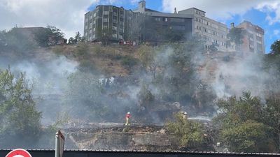 İstanbul'da korkutan yangın: Ağaçlık alan kısa sürede alevlere teslim oldu