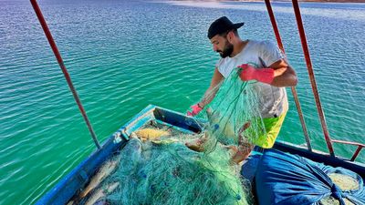 Tunceli'de gölden balık avlayarak ayda 200 bin TL kazanıyor