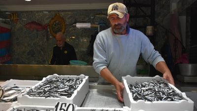 Trabzon'da hamsi ve istavrit 150 lira oldu