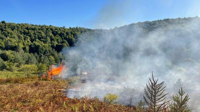 Bilecik'te korkutan yangın: Arazide başlayıp ormanlık alana sıçradı