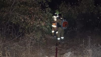 Diyarbakır’da aynı bölgede tekrar orman yangını çıktı