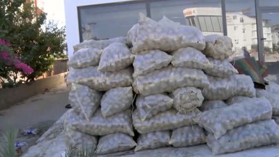 Antalya'da 1,5 ton patates imha edildi
