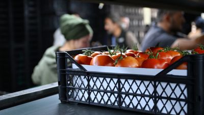 Antalya Toptancı Hali'nde çalışma saatleri değişti