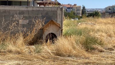 Burdur'da sokak köpeklerinin saldırdığı kadın yaralandı