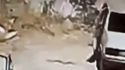 Aksaray'da seyir halindeki araçtan yılan çıktı: Sürücünün panik anları kameraya yansıdı