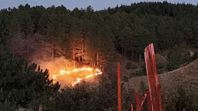 Bingöl’de orman yangını ile mücadele: Kontrol altına alındı