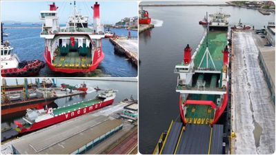 Denizlerde Gemi-Ray taşımacılığı