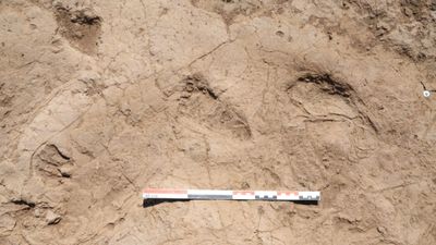 Hatay'da 7 bin yıl öncesine ait insan ayak izleri bulundu