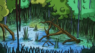 İllüzyon: Sherlock gibi olun, gizlenen timsahı bulun...