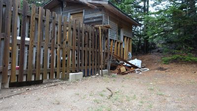 Bursa'da ayılar barakalara zarar verdi