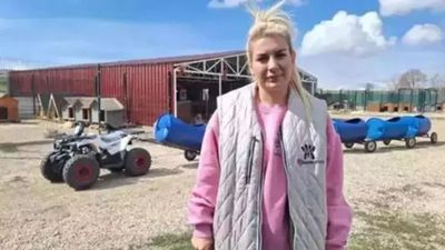 Hasta köpekleri Ankara'ya taşıyan Buket Özgünlü'ye ceza