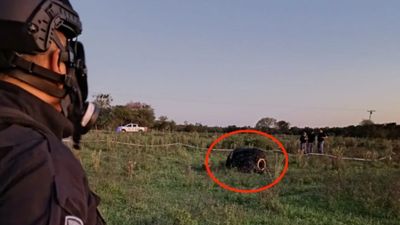 Tüyleri de var! Arjantin'de tarlaya düşen gizemli cisim...