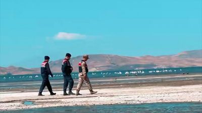 Van'da flamingolar jandarmaya emanet