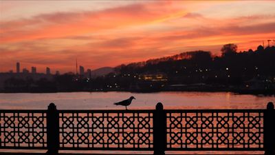 En güzel sabah duaları: Huzur, bereket, enerji ve kazanç için dua