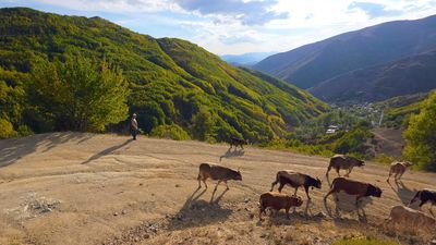 Gümüşhane'de sonbahar yüzünü gösterdi