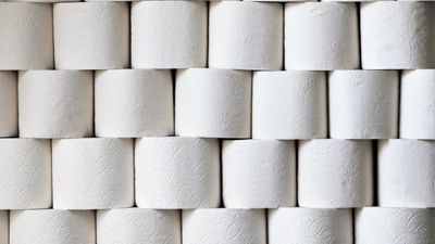 Tuvalet kağıtlarındaki desenler boşa değilmiş: Bakın ne işe yarıyor