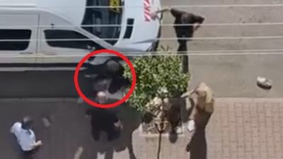 Adana'da sokakta bıçaklandı: Kaçan saldırganı taşla kovaladı