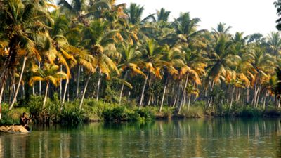 Lezzetin kökeni: Dünyanın baharat haritası