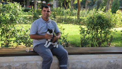 Şanlıurfa'da gölete düşen kedi kalp masajıyla hayata tutundu