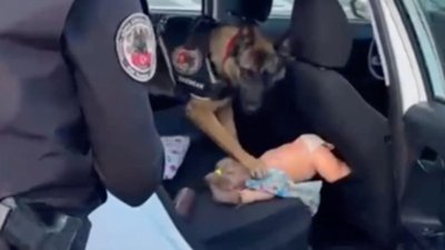 Erzincan'da durdurulan bir aracın içinden uyuşturucu dolu oyuncak bebek çıktı