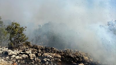 Diyarbakır'da örtü yangını paniği