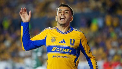 Angel Correa, Meksika’da evinin önünde ayıyla karşılaştı