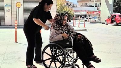 Bursa'da piknik yapan kadını yılan ısırdı