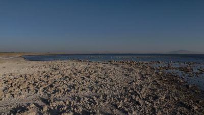 Van Gölü'nde kuraklık alarmı