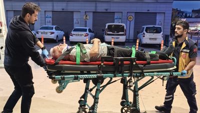 Bursa'da ceviz ağacından düştü: Ağır yaralandı