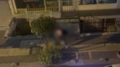 İstanbul'da köpeği tarafından ısırılan şahıs ağır yaralandı