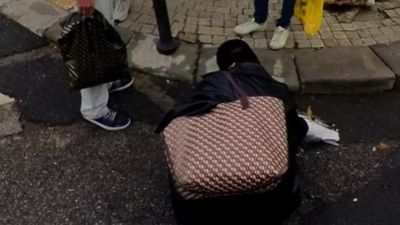 Ataşehir'de direğe çarpan martıya kalp masajı