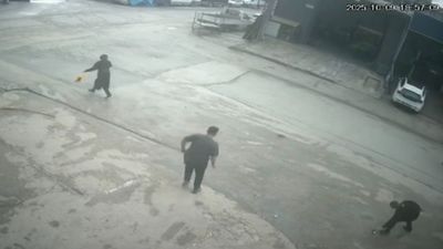 Bursa'da fare ortalığı birbirine kattı: Süpürge ve tekmeyle kovaladılar