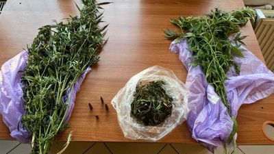 İstanbul'da uyuşturucu operasyonu: 2 gözaltı