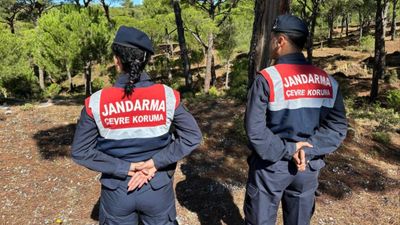 Aydın'da yetişen Sultan Çiğdemi'ni koparmanın cezası 557 bin lira